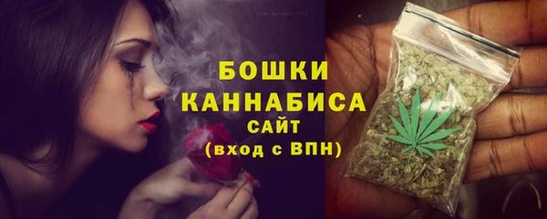 ПСИЛОЦИБИНОВЫЕ ГРИБЫ Гусиноозёрск
