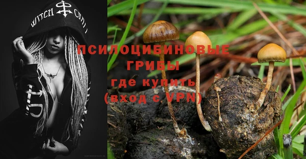 ПСИЛОЦИБИНОВЫЕ ГРИБЫ Гусиноозёрск