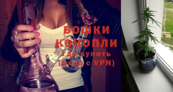 прущие крисы Гусь-Хрустальный