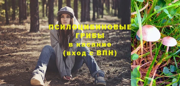 ПСИЛОЦИБИНОВЫЕ ГРИБЫ Гусиноозёрск