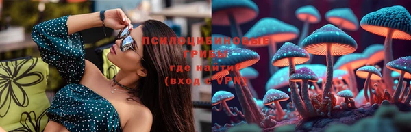 ПСИЛОЦИБИНОВЫЕ ГРИБЫ Гусиноозёрск