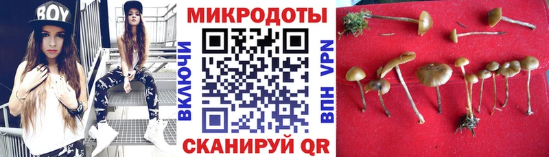 Купить закладки  Елец  Псилоцибиновые грибы мухоморы 